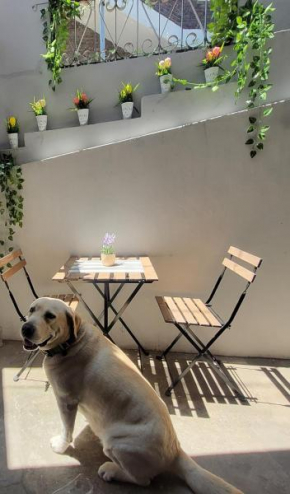 Private Home - Newly Renovated #8
